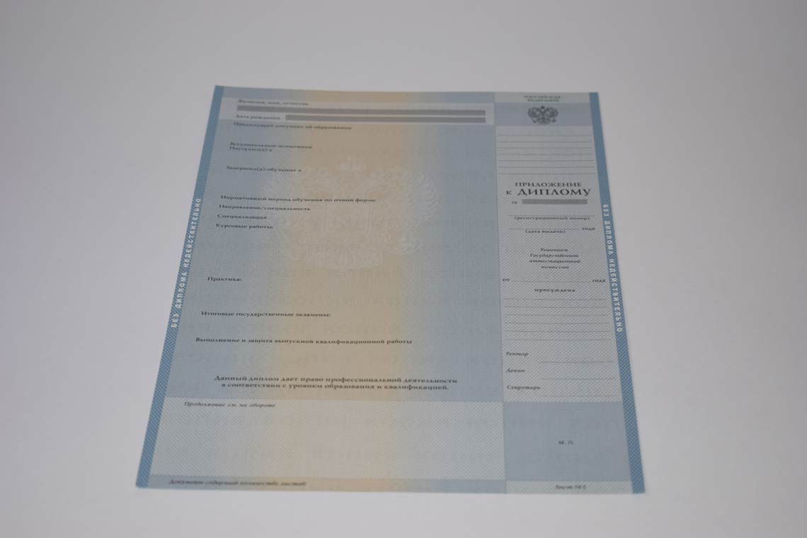 Диплом Магистра с 2003-2008 в Реутове приложение